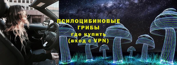 твердый Алексеевка